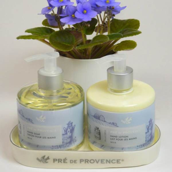 Potted purple flowers above two hand soap and lotion bottles on a tray