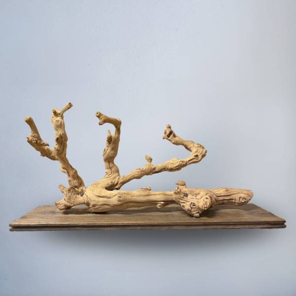 Multipurpose driftwood decor for hanging or displaying- 2 choices