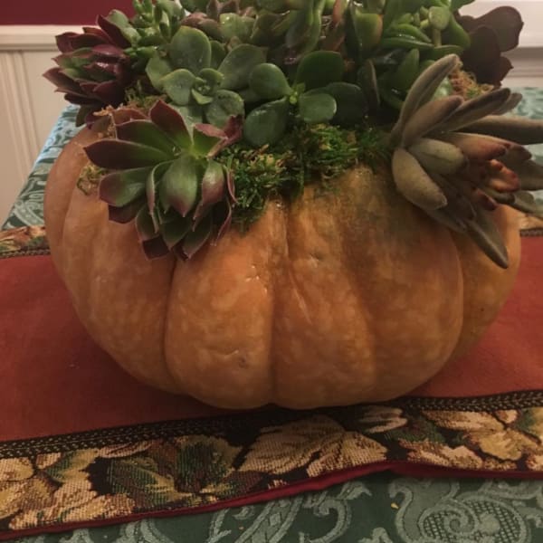 Pumpkin Centerpiece