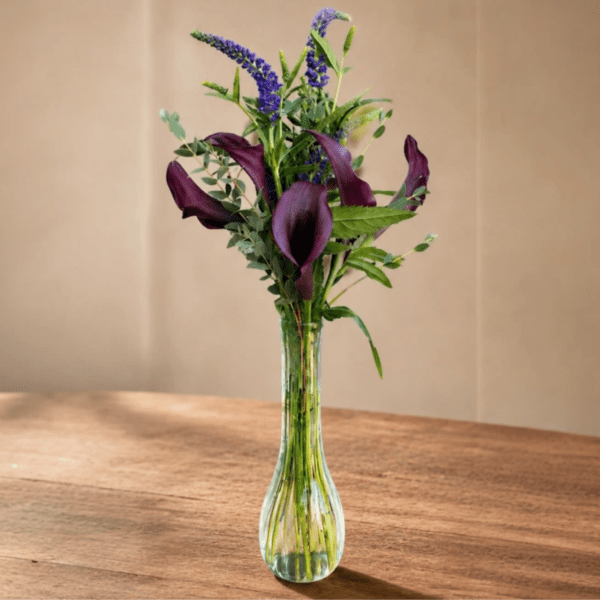 Midnight Calla