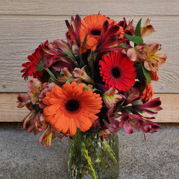 Gerbera Mix