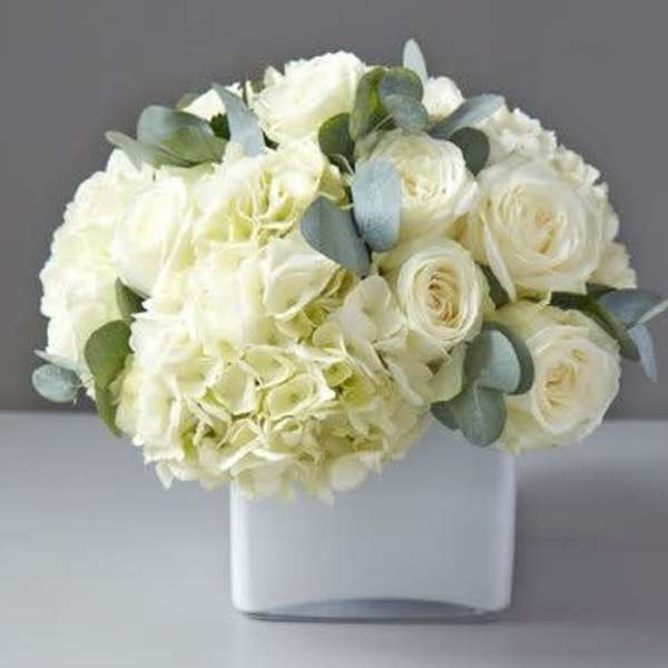 White roses and hydrangeas in a white vase