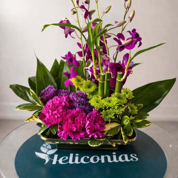Orchid Serenity Garden