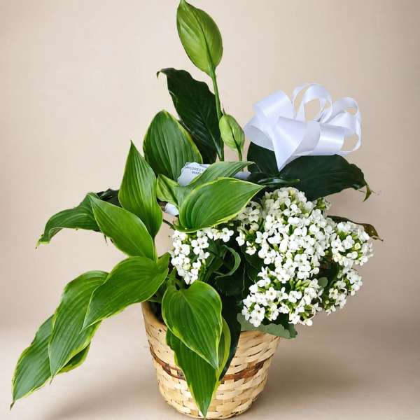 Garden Harmony Basket