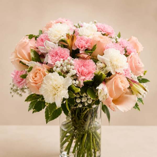 Pink Cloud Roses
