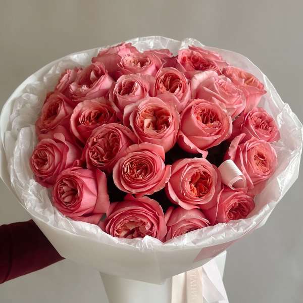 Pink Expression Roses