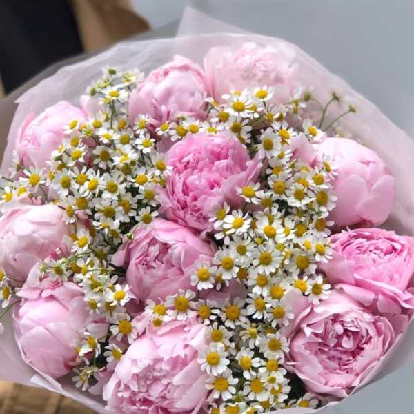 № 106 - THE PHOTO SHOWS THE PREMIUM SIZE