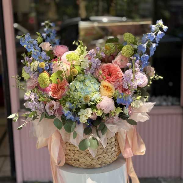 Dopamine Garden Basket. The photo shows the deluxe size.