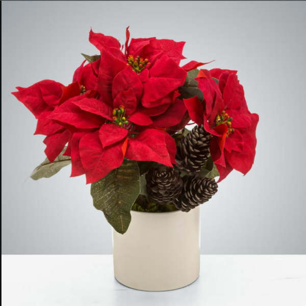 Red poinsettia arrangement in a cream vase with pinecones
