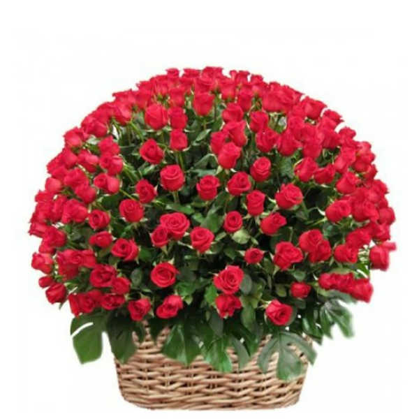 Basket of red roses arranged in a dome shape