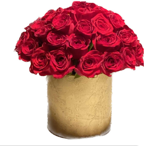 Red roses arranged in a gold vase