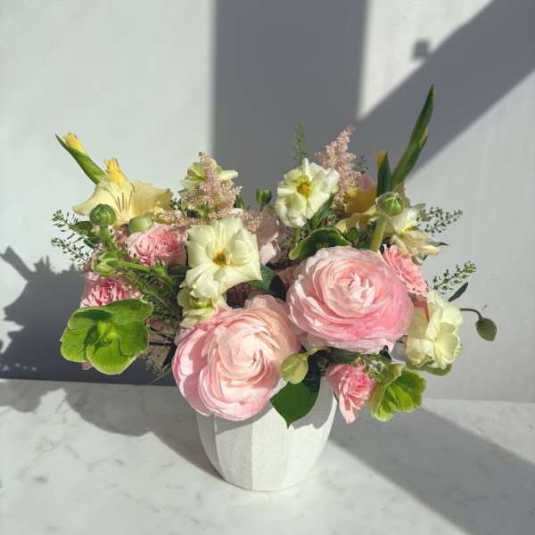 Sprightly Energy