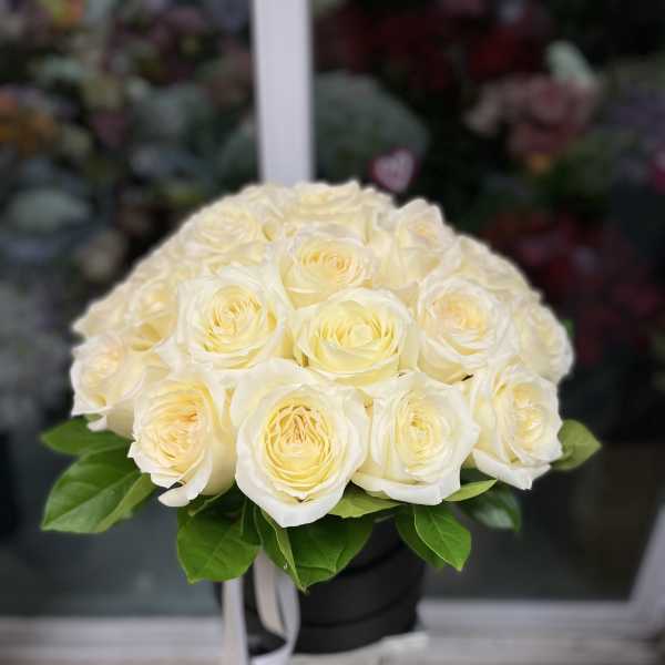 Bouquet of cream white roses in a black box with a white ribbon