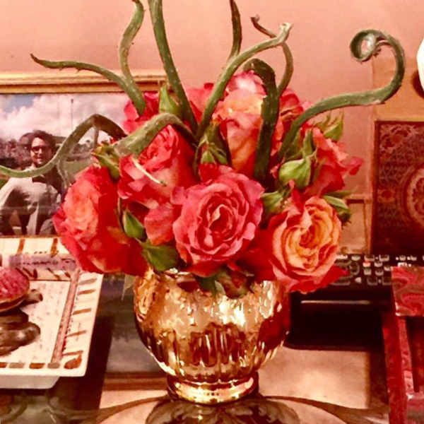 Pink and coral roses in a gold glass vase with curly green stems
