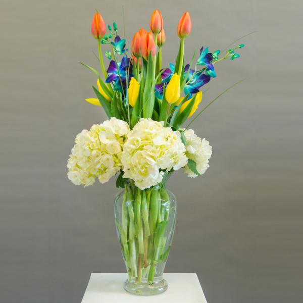 Colorful tulips and white hydrangeas arranged in a clear glass vase