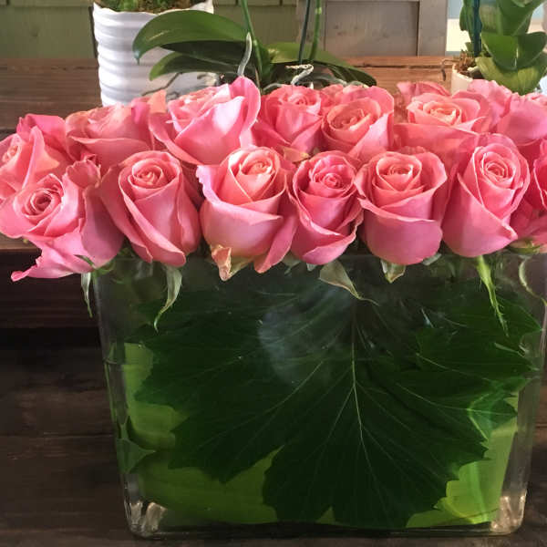 Pink roses arranged in a clear rectangular vase