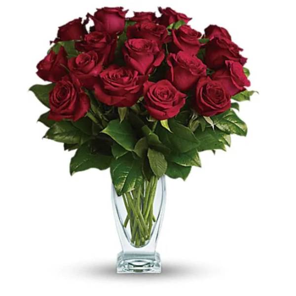 Roses 18