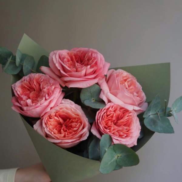 № 507