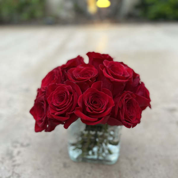 Red roses arranged in a small square glass vase