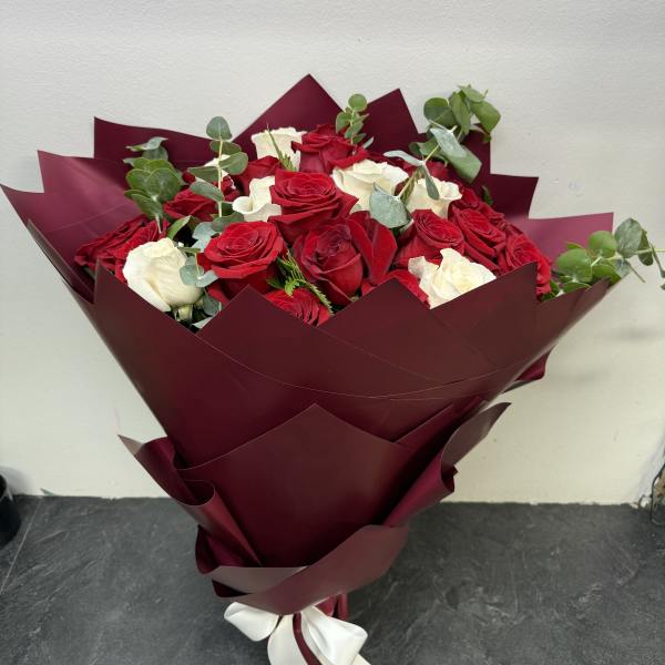 Bouquet of red and white roses wrapped in burgundy paper