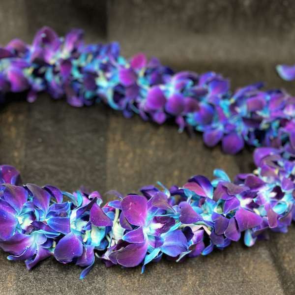 Purple and blue flower lei on a dark surface