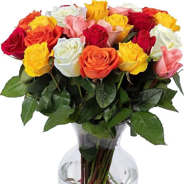 Mix Color Roses In Vase 24 Stems