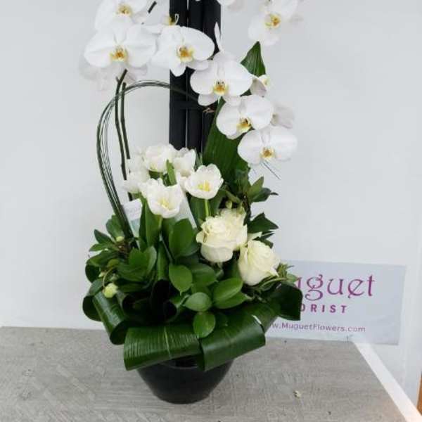 White orchids arranged in a black vase with green foliage