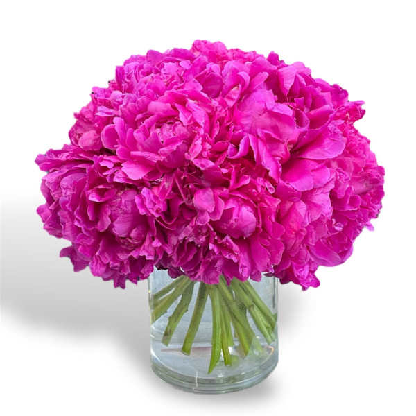Bright pink peonies arranged in a clear glass vase