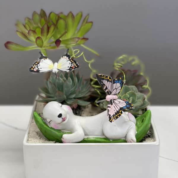 Succulent arrangement in a white square planter with a small sleeping dog figurine and butterflies