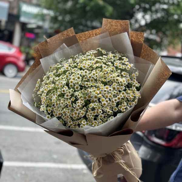 Bouquet of small white daisies wrapped in brown paper