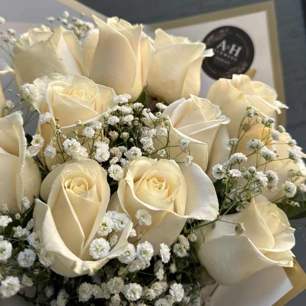 Bouquet of cream roses with small white filler flowers