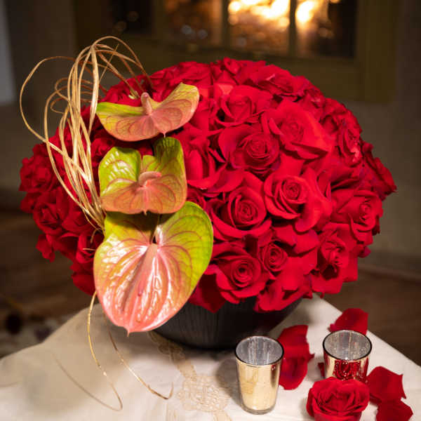 XOXO