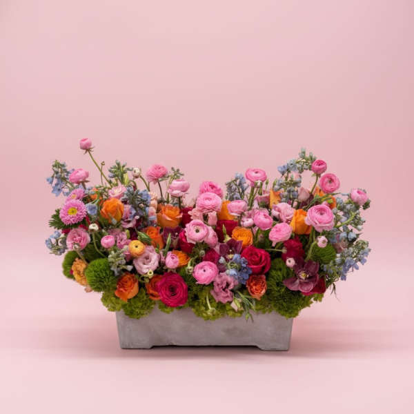 Spring blossoms