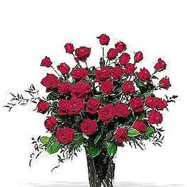 Three Dozen Red Roses
