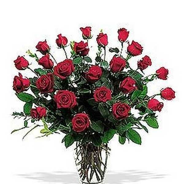 Two Dozen Red Roses