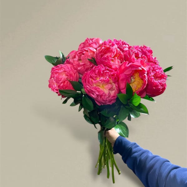 Handheld bouquet of bright pink peonies with green foliage