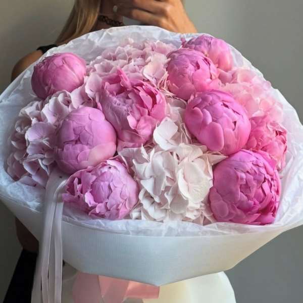 Bouquet of pink and white peonies wrapped in white paper