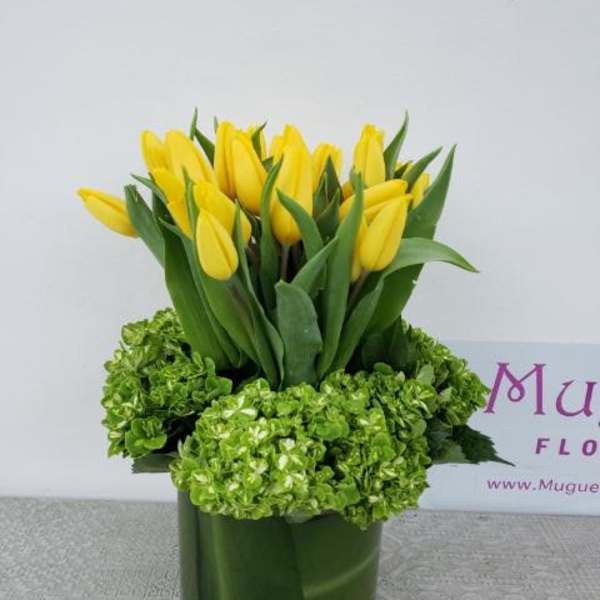 Yellow tulips arranged in a green glass vase with green hydrangeas