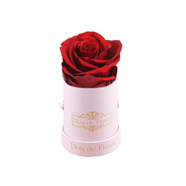 Mini Blush Pink Round Preserved Rose-Red
