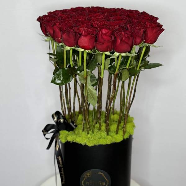 Lover