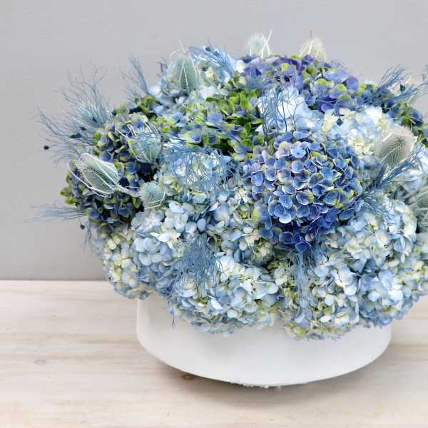 Low round arrangement of blue and white hydrangeas with airy accents in a white ceramic bowl.