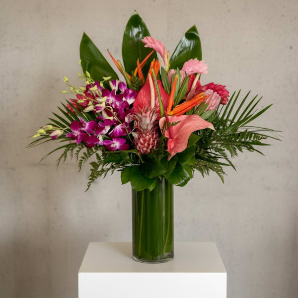 Tropical "Princess Moana"