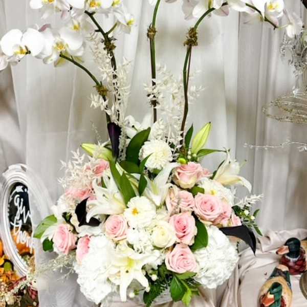 Majestic Grace