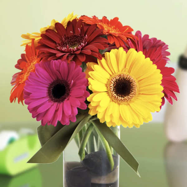 Bright gerbera daisies in a clear glass vase with a ribbon bow