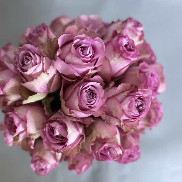 Bouquet of pink roses viewed from above