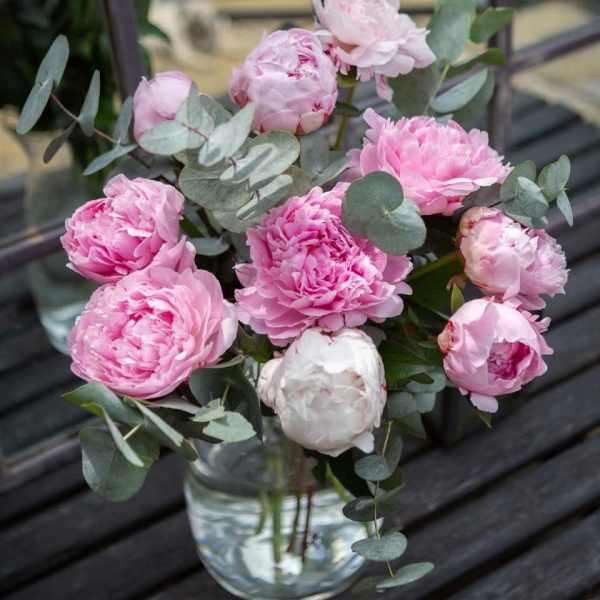 Peony Charm