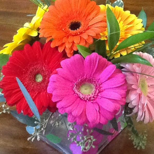 Bright gerbera daisy bouquet in pink, red, orange, yellow, and pale pink