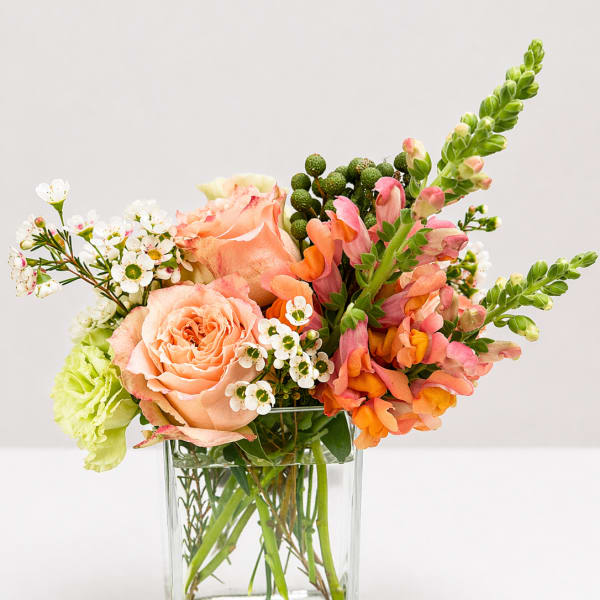 Freshly Gathered