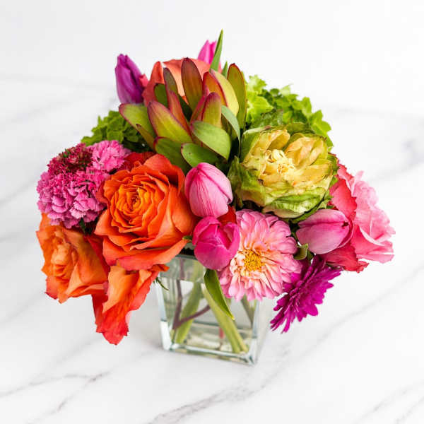 Vibrantly Her