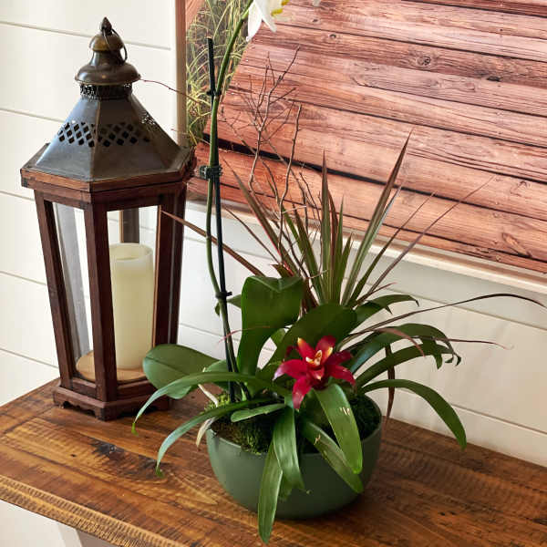 White orchid plant in a green bowl with a red bloom